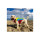 Honden reddingsvesten