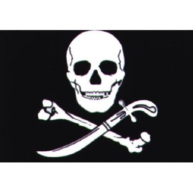 Piraten vlag 30X45
