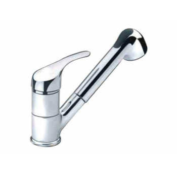 Kraan met uitneembare douche