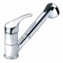 Kraan met uitneembare douche