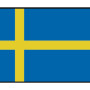 Zweedse vlag 20X30
