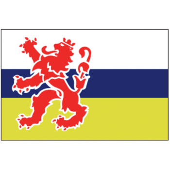 Limburgse vlag 20X30