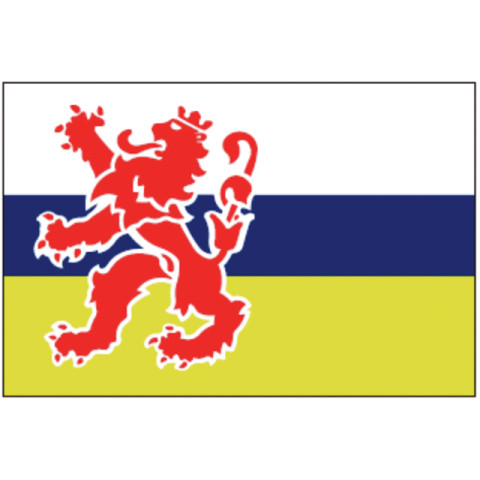 Limburgse vlag 20X30